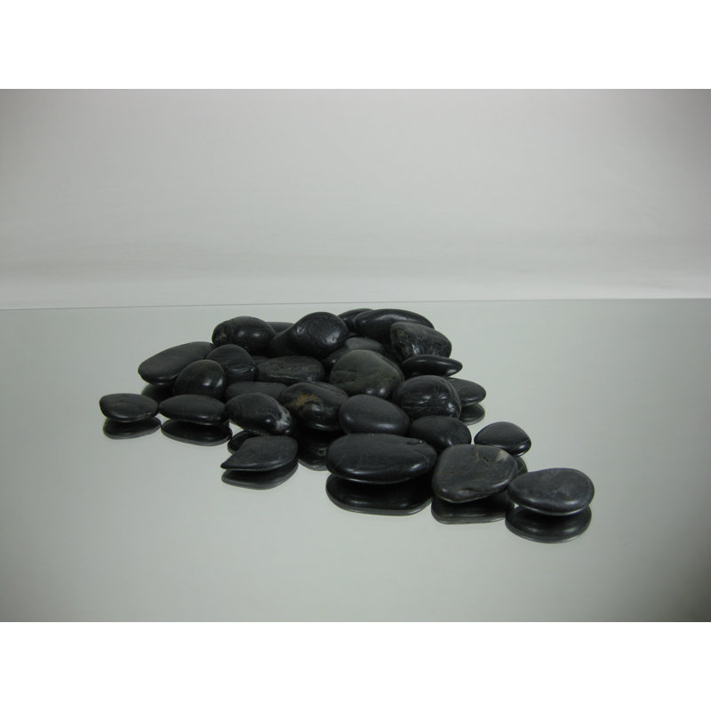 WGVInternational Stone Vase Fillers & Reviews Wayfair